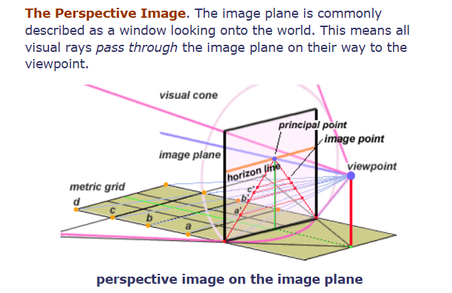 The Perspective Image.png